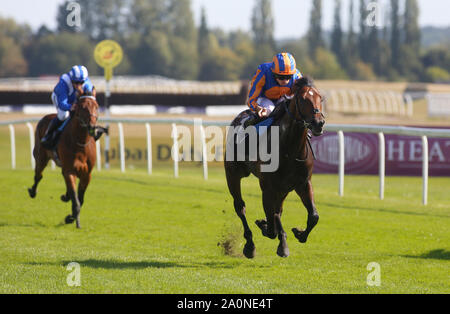 Ryan Moore und Cherokee Trail gewinnen Abteilung I des SIS Familientag EBF Anfänger Stakes Rennen in Newbury Racecourse. Stockfoto