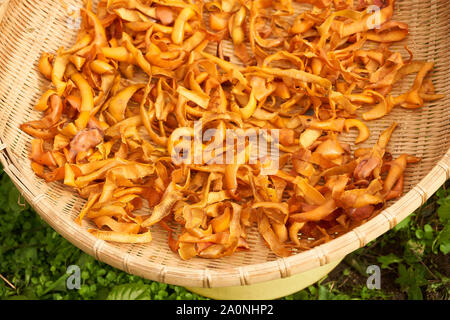 Persimone persimone Chips (getrocknete Häute - Diospyros kaki) Trocknen im Freien in einem geflochtenen Korb an einem Herbsttag in Vinstra, Japan. Stockfoto