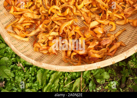 Persimone persimone Chips (getrocknete Häute - Diospyros kaki) Trocknen im Freien in einem geflochtenen Korb an einem Herbsttag in Vinstra, Japan. Stockfoto