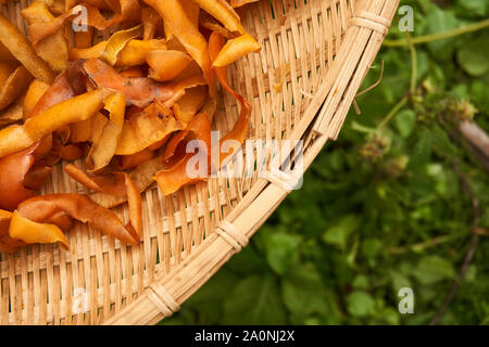 Persimone persimone Chips (getrocknete Häute - Diospyros kaki) Trocknen im Freien in einem geflochtenen Korb an einem Herbsttag in Vinstra, Japan. Stockfoto