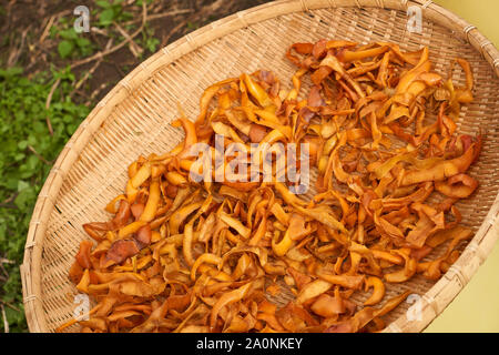 Persimone persimone Chips (getrocknete Häute - Diospyros kaki) Trocknen im Freien in einem geflochtenen Korb an einem Herbsttag in Vinstra, Japan. Stockfoto