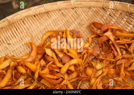 Persimone persimone Chips (getrocknete Häute - Diospyros kaki) Trocknen im Freien in einem geflochtenen Korb an einem Herbsttag in Vinstra, Japan. Stockfoto