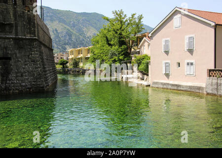 Smaragdgrüne Wasser der Bucht von Kotor oder Boka Kotorska und Häuser der Altstadt von Kotor ehemalige venezianische Festung, Kotor, Montenegro Stockfoto