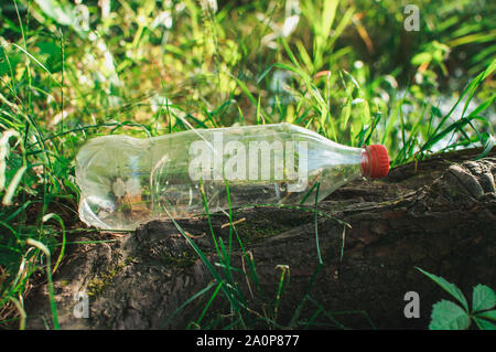 Plastikflasche im Wald in der Nähe des Teiches. Umweltverschmutzung. Umweltschutzes und Katastrophe. Go Green, Null Abfall, speichern Sie den Planeten Erde Da Stockfoto