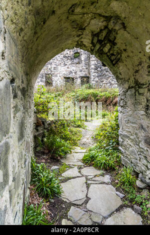 Die Ruinen des 13. Jahrhunderts Eileen Tioram [Die trockene Insel] Schloss im westlichen Hochland von Loch Shiel Moidart und Fluss Stockfoto