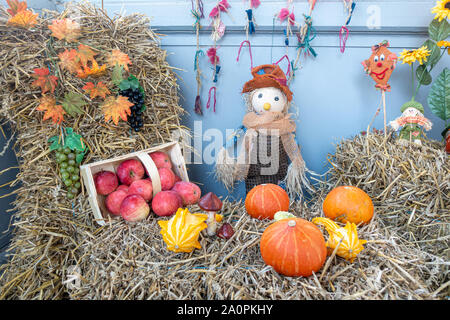 Auf einem strohballen Äpfel und Kürbisse wurden liebevoll als Dekoration angeordnet Stockfoto