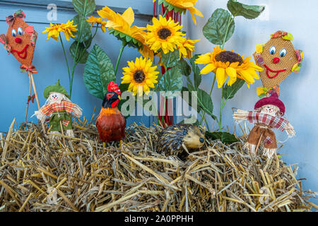 Auf einem strohballen Äpfel und Kürbisse wurden liebevoll als Dekoration angeordnet Stockfoto