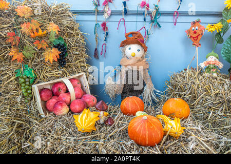 Auf einem strohballen Äpfel und Kürbisse wurden liebevoll als Dekoration angeordnet Stockfoto