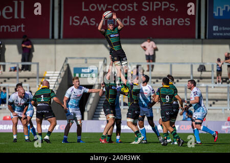 Salford, UK. 21. September 2019; AJ Bell Stadium, Salford, Greater Manchester, England; English Premiership Rugby, Verkauf Haifische gegen Northampton Saints; Lewis Bean von Northampton Saints gewinnt einen lineout Credit: Aktion Plus Sport Bilder/Alamy leben Nachrichten Stockfoto