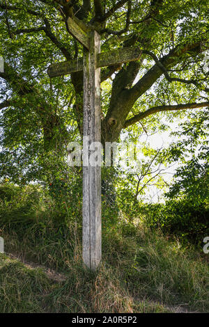 Die Cotswold Way. Eine hölzerne Wegweiser auf Leckhampton Hill, Cheltenham Gloucestershire, Großbritannien Stockfoto