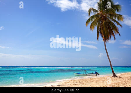 Eine Palme am Strand mit weissem Sand, das Boot am Ufer, blaue Meer und Himmel mit Wolken Hintergrund Stockfoto