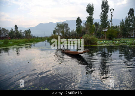 September 21, 2019, Srinagar, Jammu und Kaschmir, Indien: ein Mann Zeilen sein Boot in den frühen Morgenstunden auf See Dal während der Beschränkungen in Srinagar.. Normales Leben bleibt für den 47. Tag im Kaschmir-tal nach der Aufhebung von Artikel 370, die den besonderen Status der staatlichen gibt gestört. (Bild: © idrees Abbas/SOPA Bilder über ZUMA Draht) Stockfoto