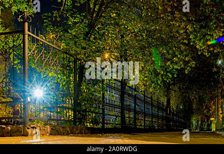 Herbst, Nacht Landschaft der Fußgängerweg in der Stadt Vergnügungspark mit Blendung durch die straßenlaternen Stockfoto