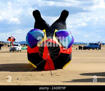 St Anne's, England - 7.September 2019: Das Gesicht der Caterpillar Kite Stockfoto