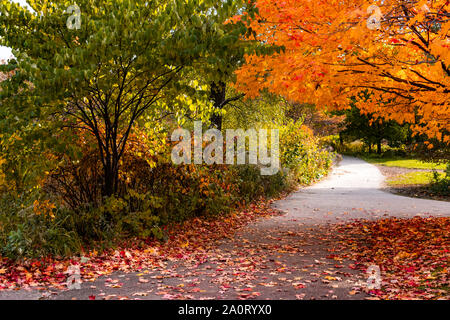 Schattige Wanderweg im Herbst im Lincoln Park Chicago Stockfoto