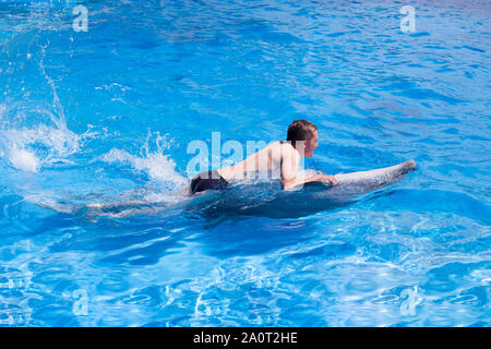 Ein junger Mann wird reiten Delphin auf der Rückseite, die Jungen Schwimmen mit Delfin im blauen Wasser im Pool, Meer, Ozean, Dolphin spart ein Mann Stockfoto