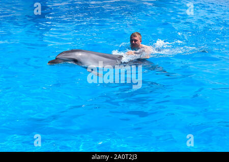 Ein junger Mann ist, Dolphin, junge Schwimmen mit Delfin im blauen Wasser im Pool, Meer, Ozean, Dolphin spart ein Mann Stockfoto