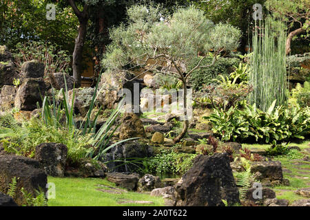 Ein japanischer Garten mit Wasser und Pflanzen Natur Hintergrund Stockfoto