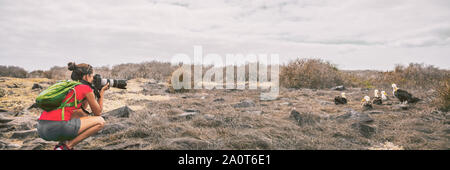 Galapagos Touristen, die Bilder von winkte Albatross am Espanola Island, den Galapagos Inseln. Naturfotograf und Ornithologen fotografieren Galapagos Albatrosse während der Kreuzfahrt Schiff Ausflug Stockfoto