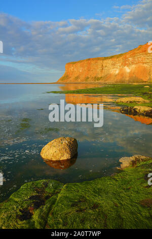 Eine enge Sicht auf einem Felsblock mit Jagd Klippe in der Ferne, Saltburn, North Yorkshire, England, Vereinigtes Königreich. Stockfoto