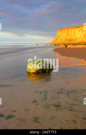 Am Abend Licht auf Sand und ein Boulder mit Klippen in der Ferne. Saltburn, North Yorkshire, England, Vereinigtes Königreich. Stockfoto