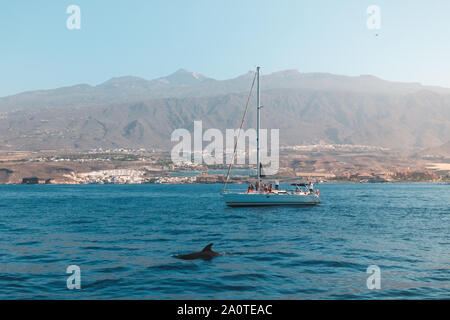 Gruppe von Menschen auf dem Boot für Whale Watching Tour im Dolphin suchen - Stockfoto