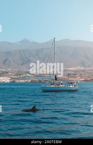 Menschen auf Segelboot auf der Suche nach Delphin auf Whale Watching Tour - Stockfoto