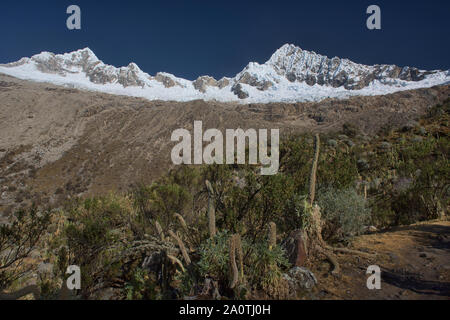 Alpamayo und Quitaraju steigen über Basecamp, Cordillera Blanca, Ancash, Peru Stockfoto