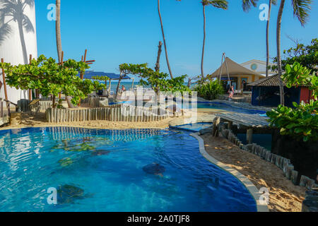Das Projekt Tamar, gemeinnützige Organisation Meeresschildkröten vor dem Aussterben zu bewahren, Praia Do Forte, Brasilien. Februar, 24, 2019. Stockfoto