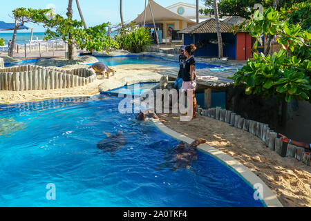 Das Projekt Tamar, gemeinnützige Organisation Meeresschildkröten vor dem Aussterben zu bewahren, Praia Do Forte, Brasilien. Februar, 24, 2019. Stockfoto