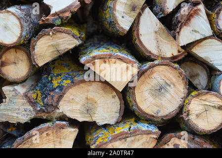 Stapel von Protokollen. Stapel von Brennholz. Protokolle Schnitte für Kamin vorbereitet. Woodpile. Holz für den Kamin. Holz für den Winter. Brennholz Hintergrund. Stockfoto