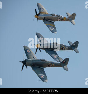 Duxford, Cambridgeshire, Großbritannien. 21. September 2019. 1940 themenorientierte Wochenende fliegen am IWM Duxford mit historischen WW2 Flugzeug und einen massierten Flug von 15 Spitfires, zum Gedenken an den 50. Jahrestag der Film "Schlacht um England". Bild: Flug von Hawker Sea Fury Fury und Flugzeuge. Credit: Malcolm Park/Alamy Leben Nachrichten. Stockfoto