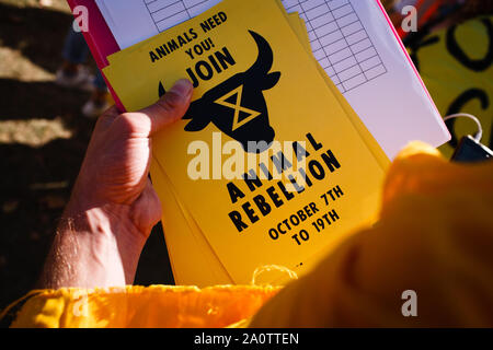 London, Großbritannien. 20 Sep, 2019. Gebrauchsinformation vor dem Aussterben Rebellion bei den Vorführungen. Quelle: David Cliff/SOPA Images/ZUMA Draht/Alamy leben Nachrichten Stockfoto