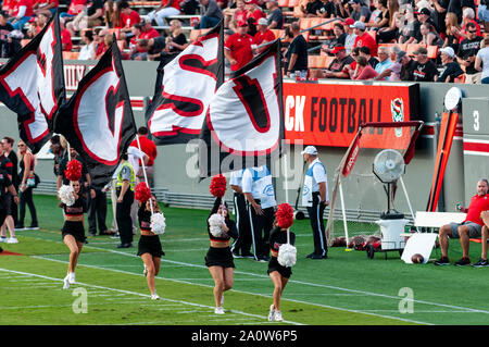 Raleigh, North Carolina, USA. 21 Sep, 2019. Sept. 21, 2019 - Raleigh, N.C., USA - Pre-Spiel Festlichkeiten während am Samstag Spiel zwischen den NC Zustand Wolfpack und Ball State Kardinäle. Das Wolfpack besiegten die Kardinäle, 34-23. Credit: Timothy L. Hale/ZUMA Draht/Alamy leben Nachrichten Stockfoto