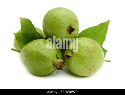 Guave Obst isoliert auf dem weißen Hintergrund Stockfoto