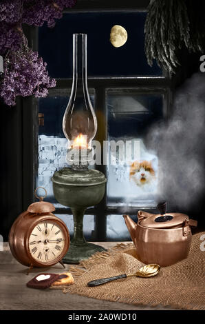 Winter draußen vor dem Fenster und den Mond, die Katze schaut von der Straße Stockfoto