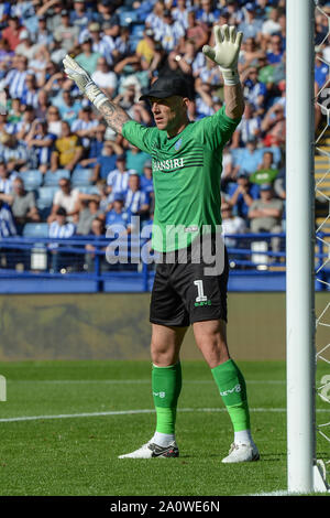 21. September 2019, Hillsborough, Sheffield, England; Sky Bet Meisterschaft, Sheffield Mittwoch vs Fulham: Credit: Dean Williams/News Bilder, Keiren Westwood (1) von Sheffield Mittwoch. Englische Fußball-Liga Bilder unterliegen dem DataCo Lizenz Stockfoto