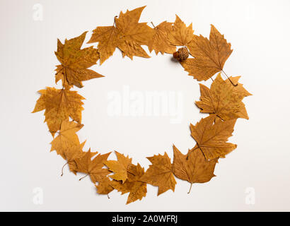 Herbst Komposition. Kranz aus Blättern auf grauem Hintergrund. Herbst, Herbst, Thanksgiving Day Konzept. Flach, Ansicht von oben, kopieren Raum Stockfoto