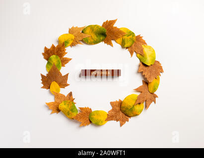 Herbst Komposition. Kranz aus Herbstlaub auf grauen Hintergrund. Herbst, Herbst, Thanksgiving Day Konzept. Flach, Ansicht von oben, kopieren Raum Stockfoto