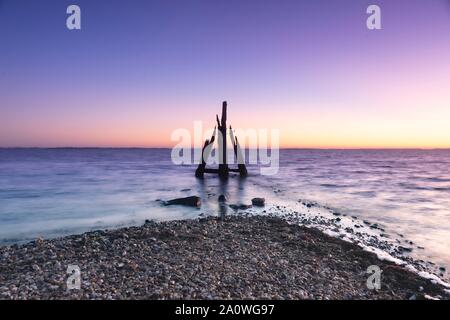 Sonnenaufgang in den Osse, Zeeland in den Niederlanden. Stockfoto