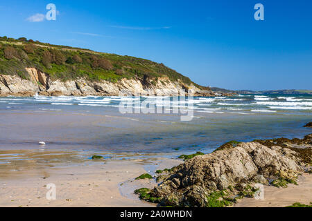 Der goldene Sandstrand von Maenporth in der Nähe von Falmouth Cornwall England UK Europa Stockfoto