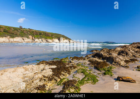 Der goldene Sandstrand von Maenporth in der Nähe von Falmouth Cornwall England UK Europa Stockfoto