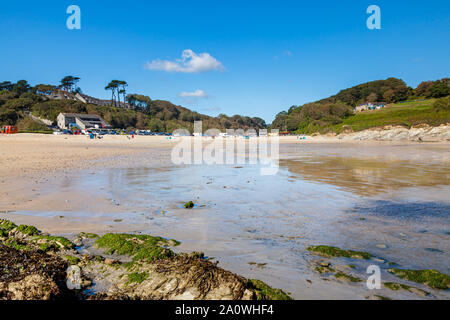 Der goldene Sandstrand von Maenporth in der Nähe von Falmouth Cornwall England UK Europa Stockfoto