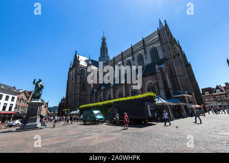 Die St. Bavo Kirche und der Grote Markt, Haarlem Stockfoto