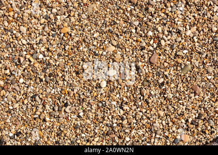 Textur von hellen und farbigen Kiesel, nass durch die Wellen auf den Strand Stockfoto