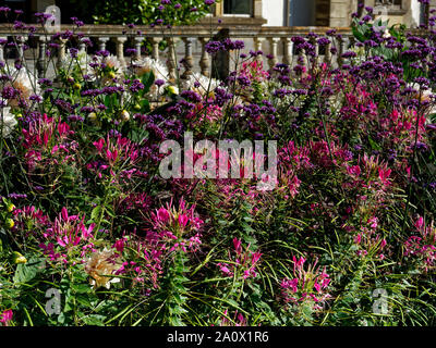 Botanische Gärten, Dyffryn Gardens, St Nicholas, Wales, Großbritannien Stockfoto