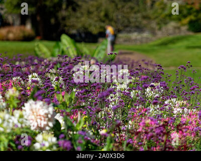 Botanische Gärten, Dyffryn Gardens, St Nicholas, Wales, Großbritannien Stockfoto