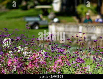 Botanische Gärten, Dyffryn Gardens, St Nicholas, Wales, Großbritannien Stockfoto