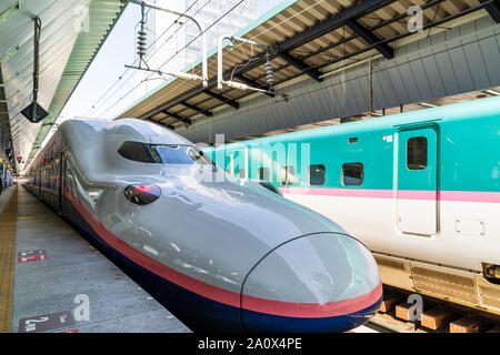 Bahnhof von Tokio. Blick entlang der Plattform mit einer E4-MAX Serie Double Decker Shinkansen, Bullet Train, an der Plattform. Niedrigen Winkel von der Vorderseite der Bahn. Stockfoto