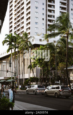 Oahu, Hawaii - 23. August 2019: Nachmittag Sonnenlicht auf den von Palmen gesäumten Straßen von Waikiki. Stockfoto